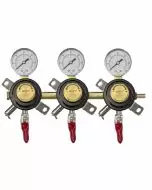 Bev Rite Triple Gauge Secondary Regulator