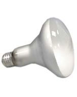 Replacement Light Bulb for Popcorn Machines & Commercial Poppers