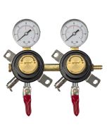 Bev Rite Dual Gauge Secondary Regulator