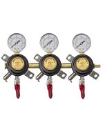 Bev Rite Triple Gauge Secondary Regulator