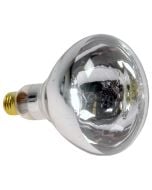 Replacement Bulb