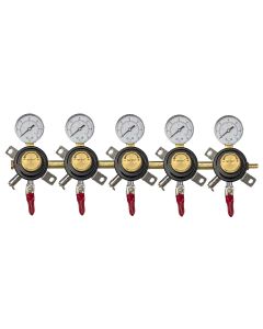 Bev Rite Five Gauge Secondary Regulator