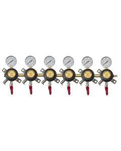 Bev Rite Six Gauge Secondary Regulator