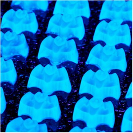 Bat shaped Vodka tonic jelly shots glow in dark for Halloween Food Recipe Ideas