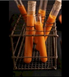 Bloody Mary Shooter Mini cocktails Halloween beverage ideas for bars and restaurants